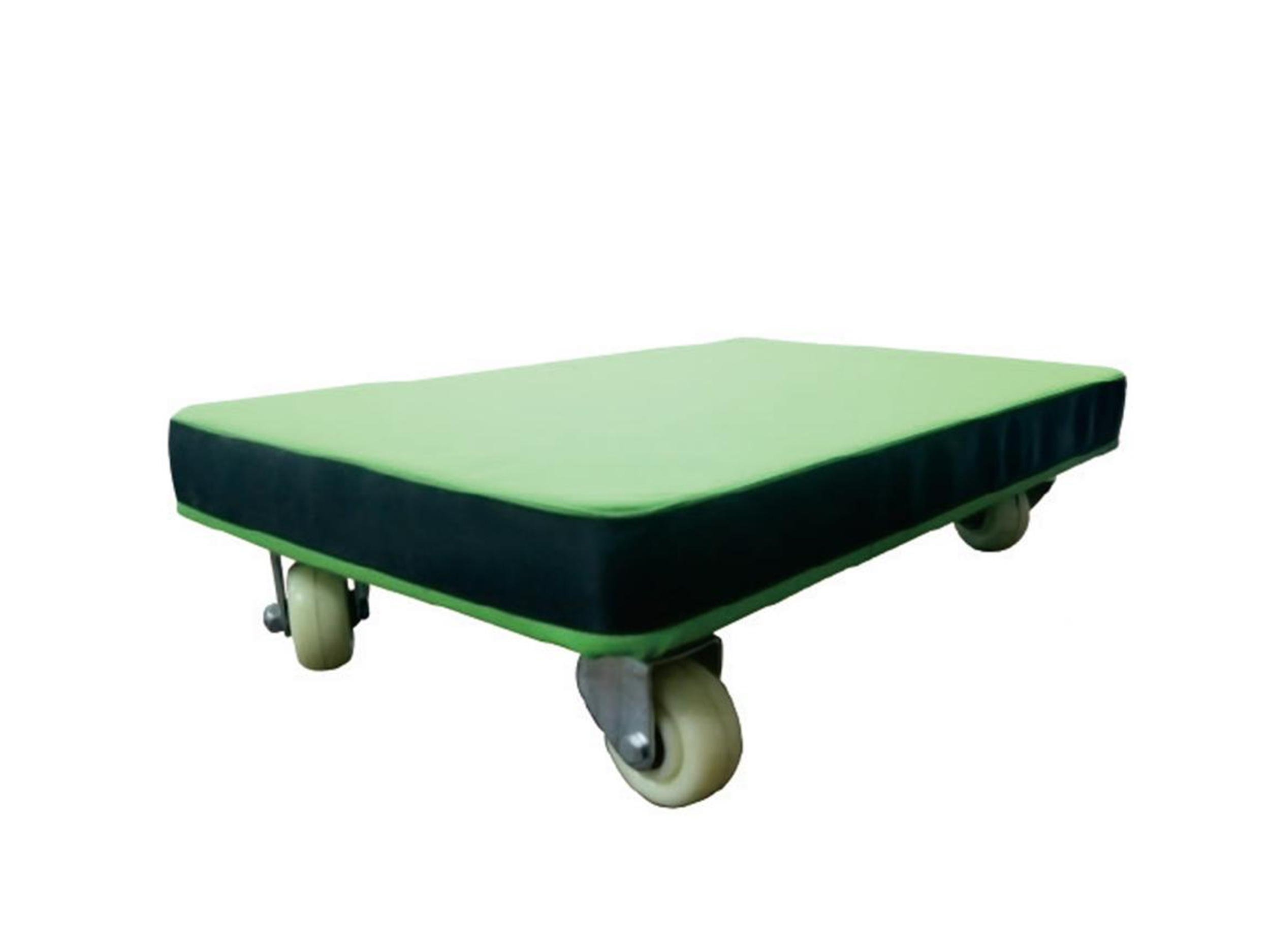 阻尼適能滑行車